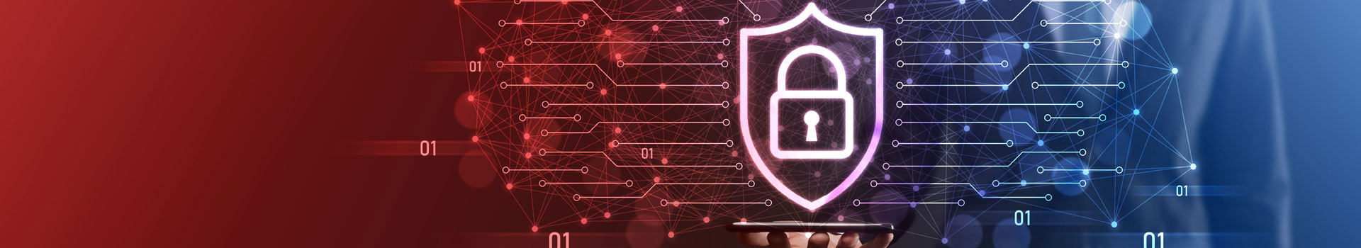 privacy-policy-page-banner-srifirgurugram